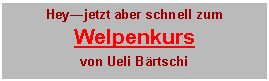 Textfeld: Heyjetzt aber schnell zumWelpenkursvon Ueli Brtschi
