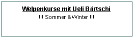 Textfeld: Welpenkurse mit Ueli Brtschi!!! Sommer & Winter !!!